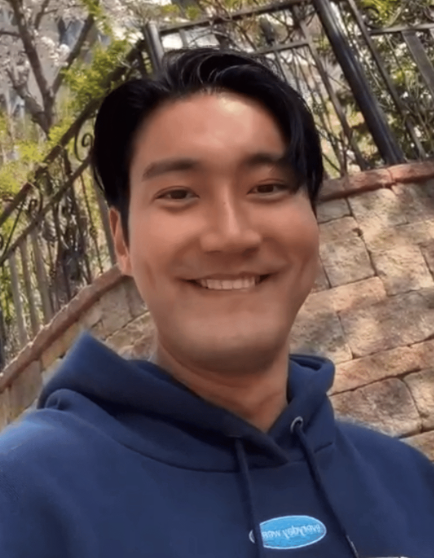 韩国女明星腿_韩国酵母现象分析_韩国艺人变肿原因