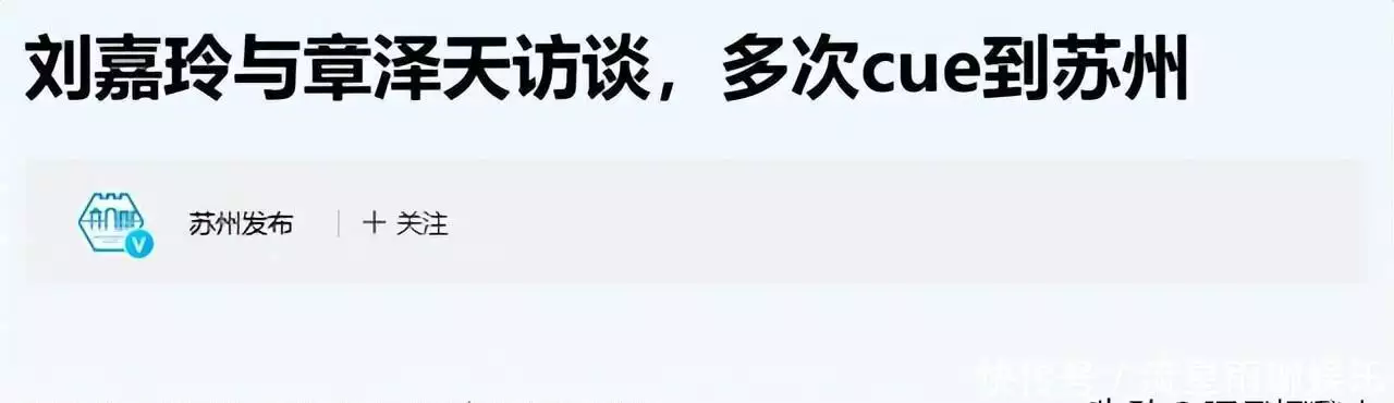 章泽天商业投资布局_章泽天个人博客深度对话_章泽天 娱乐圈